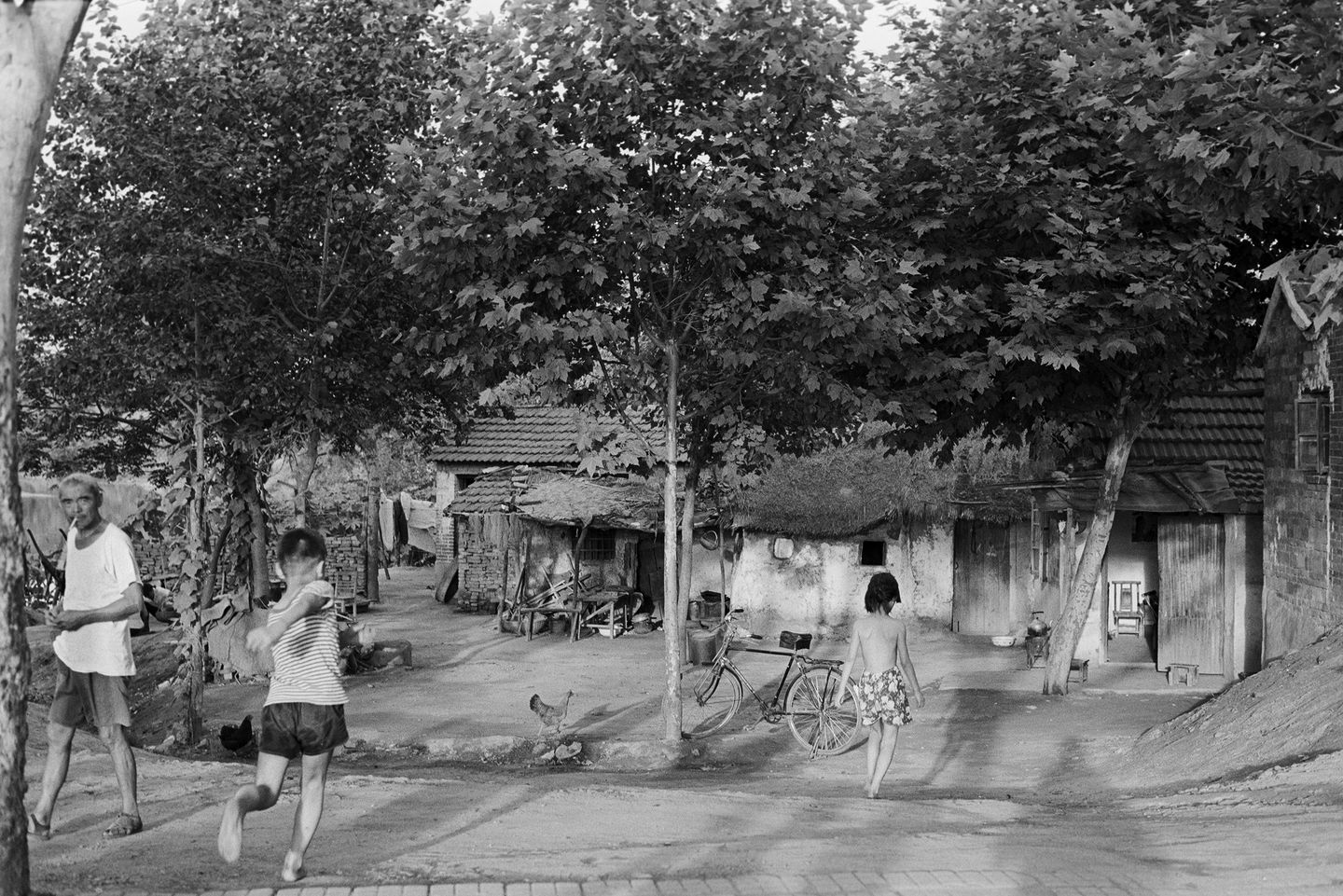 南京，1981