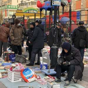 跳蚤书市日记 跳蚤书市日记